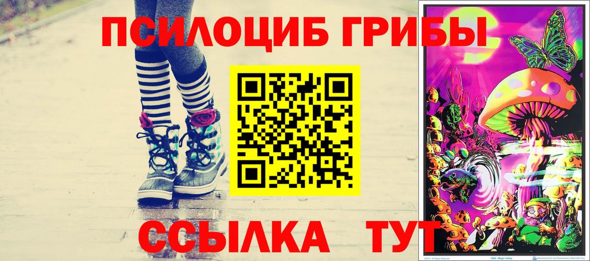 Пыть-Ях  Псилоцибиновые грибы Cubensis  Вход с VPN 
